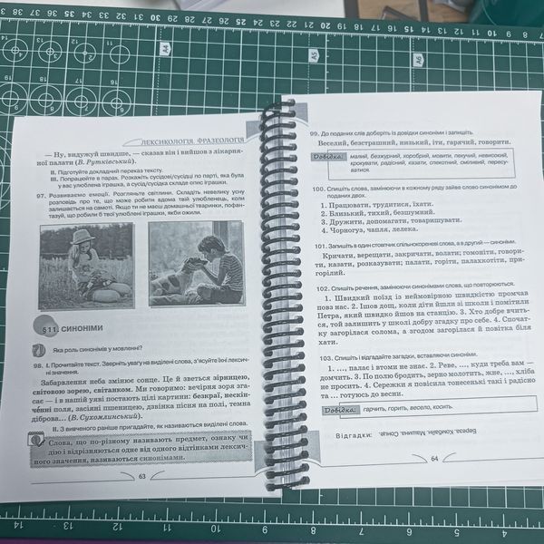 Українська мова. Алла Ворон. 5 клас. 2022. А5, чорно-білий друк Ш5клУкрВор2022 фото